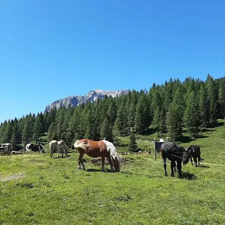 Berghof Hotell 3*