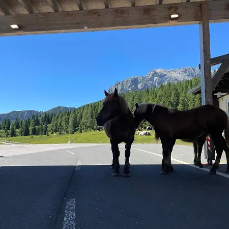 酒店 伯格霍夫酒店 索内纳尔佩·纳斯费尔德