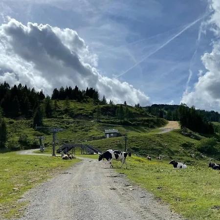 Hotel Berghof 3*