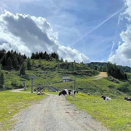 Berghof Sonnenalpe Nassfeld