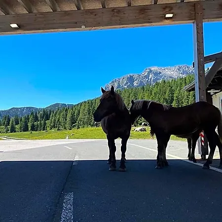 Berghof 3*