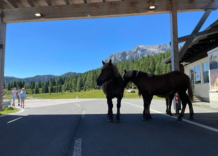Hotel Berghof Sonnenalpe Nassfeld